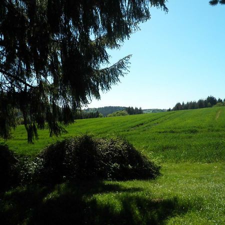 Blick In Die Suedeifel Biersdorf Εξωτερικό φωτογραφία
