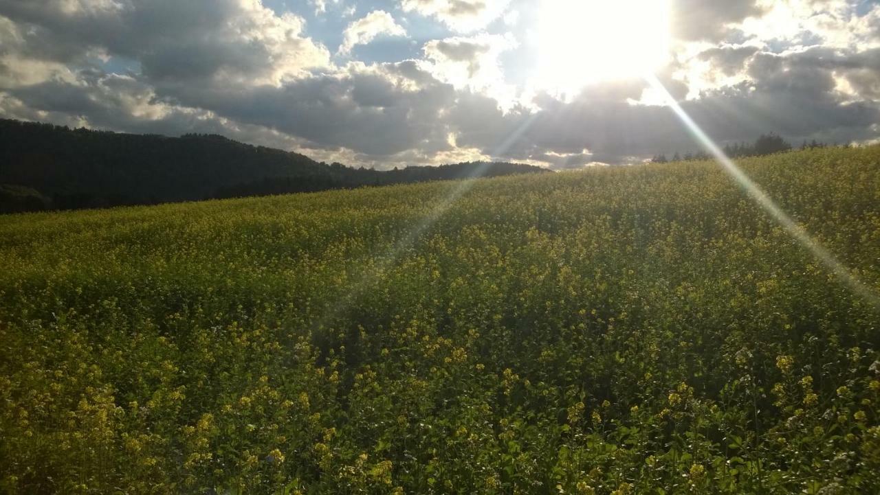 Blick In Die Suedeifel Biersdorf Εξωτερικό φωτογραφία